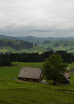 brown wooden house on green grass field near green trees and mountains during daytime