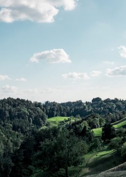 green field surrounded with tall and green trees under blue and white skies
