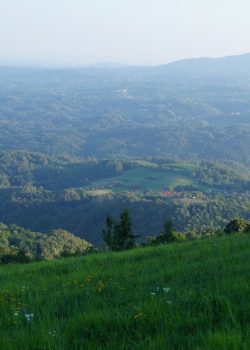 green grass field and mountains during daytime