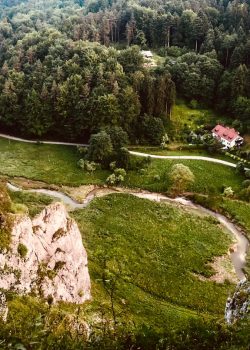green grass field and trees during daytime