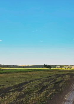 green grass field beside road under blue sky during daytime