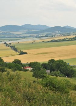 green-grass field during daytime
