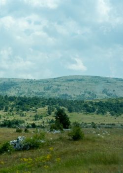 green grass field near green mountains under white clouds during daytime