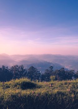 green grass field near mountains during daytime