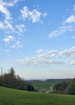 green grass field under blue sky during daytime