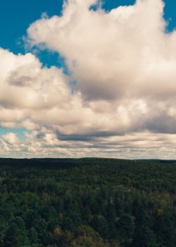 green grass field under white clouds and blue sky during daytime