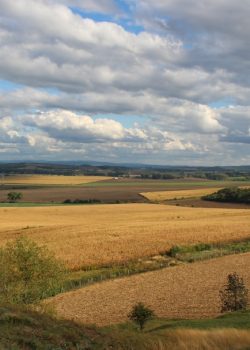 green grass field under white clouds and blue sky during daytime