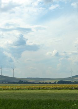 green grass field under white clouds during daytime
