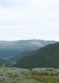 green mountains under white sky during daytime