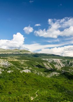 green terrain under clear sky