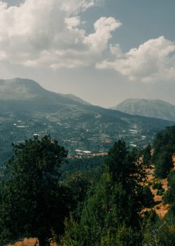 green trees and mountains under white clouds and blue sky during daytime