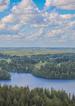 green trees near river under blue sky during daytime