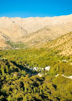 green trees on mountain under blue sky during daytime