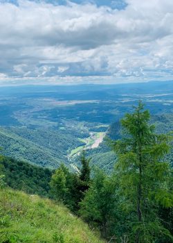 green trees on mountain under white clouds during daytime