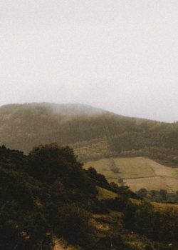 green trees on mountain under white sky during daytime
