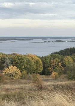house in field near trees