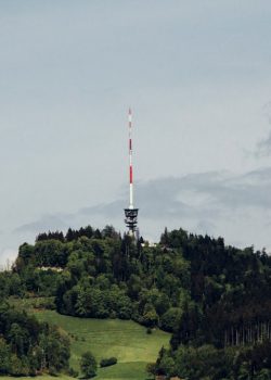 landscape photo of green trees with green grass