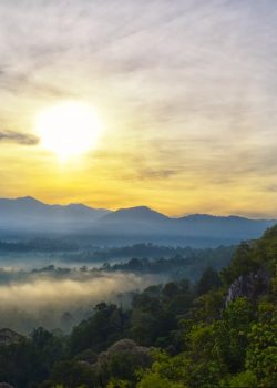 mountain covered with fogs under white skies
