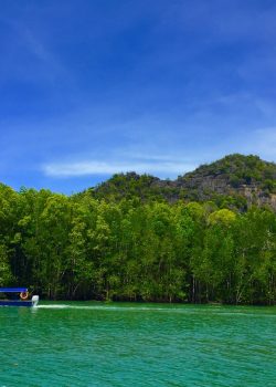 two boats on body of water near green trees under blue and white sky during daytime