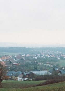 village and trees during daytime